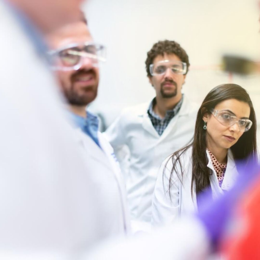 Project-related work - Quercus